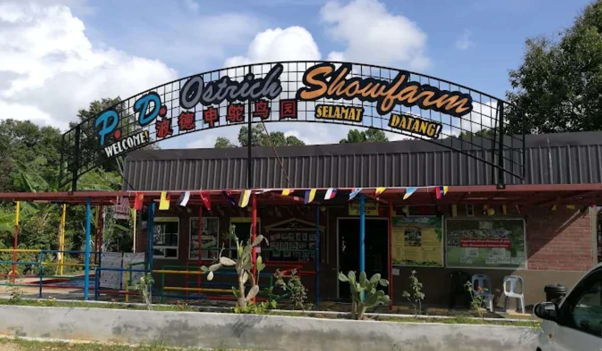 P_D_ Ostrich Show Farm 